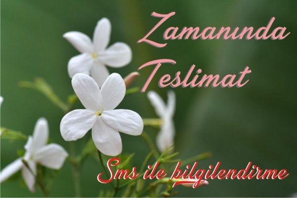 Zamanında Teslimat - Eskişehir Çiçekçi