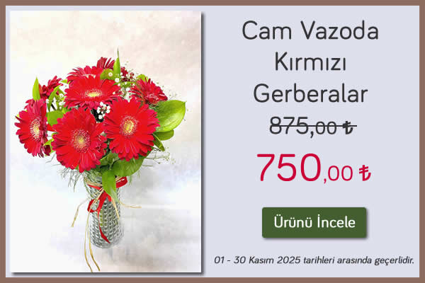 Cam Vazoda Kırmızı Gerberalar Kampanya 01 - 30 Kasım 2025 tarihleri arası geçerli, eskişehir çiçekçi